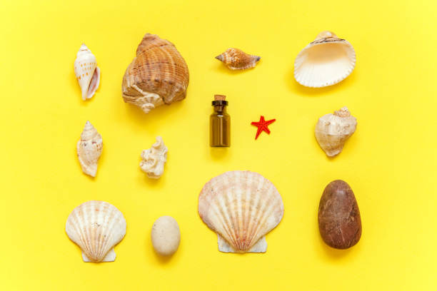 istock Seashells and glass bottle on a yellow background 962215282