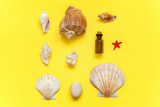 istock Seashells and glass bottle on a yellow background 962215394