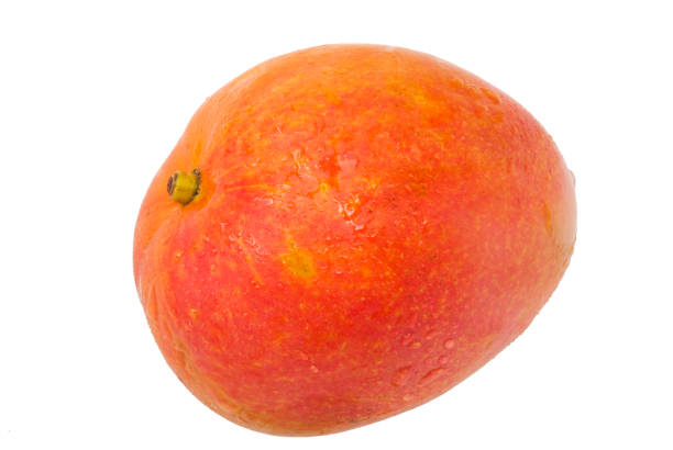 Stacked ripe yellow thai mango fruits