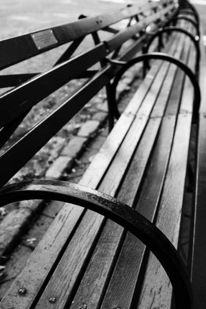 Central Park New York with a row of park benches in summer.