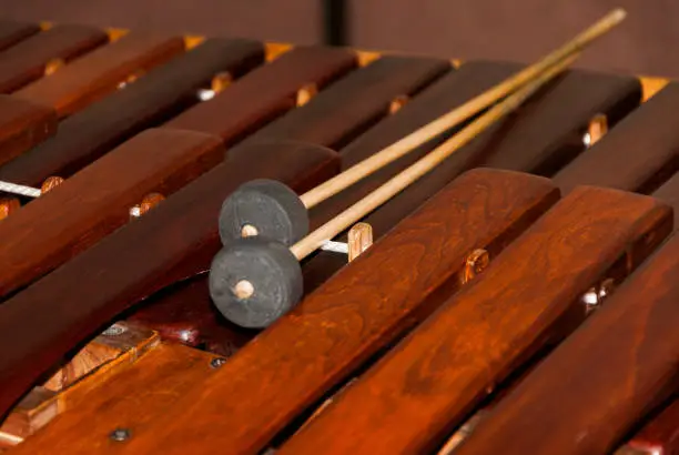 Photo of Close-up shot of a marimba or Hormigo keyboard. Guatemala. National instrument of Guatemala made with Hormigo wood the marimba keyboard.