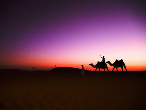 istock Sunset camels riding in Abu Dhabi's Al Wathba desert, UAE 962225686