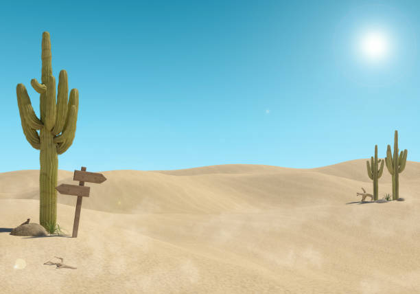 Sandy desert landscape with cactus and wooden sign on blue sky background stock photo