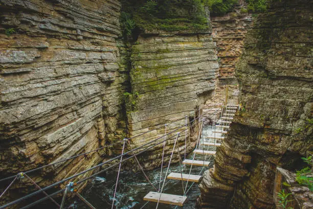 Photo of Rope Bridge over Ausable River