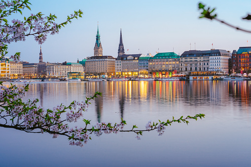 Beautiful panoramic view of calm Alster river with Hamburg town hall - Rathaus behind the buildings on evening. Golden hour with cherry blossom tree in foreground