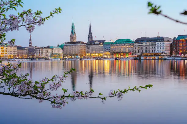 Beautiful panoramic view of calm Alster river with Hamburg town hall - Rathaus behind the buildings on evening. Golden hour with cherry blossom tree in foreground.