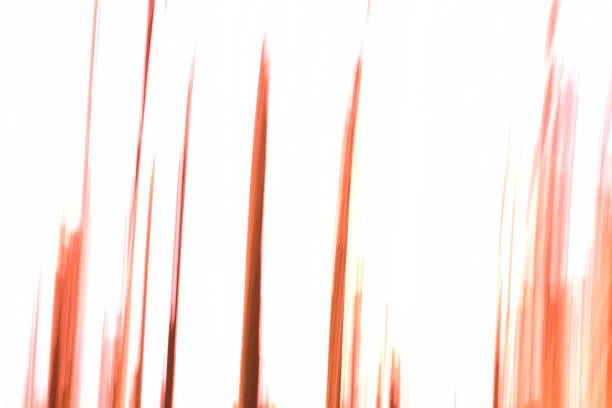 Abstract soft blurred background with elements of red and white colors