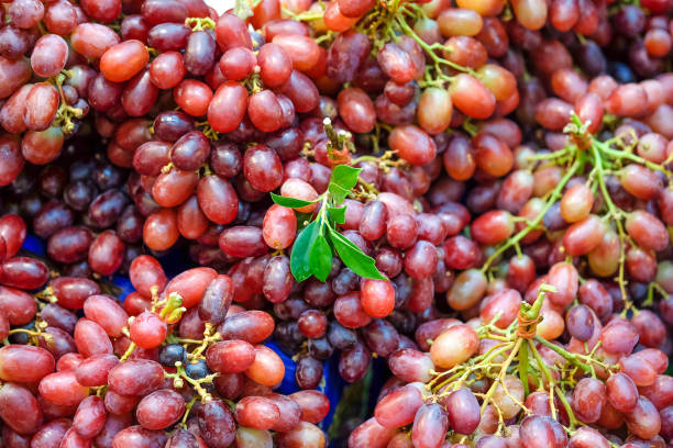 istock Red wine grape sale on market 962247924