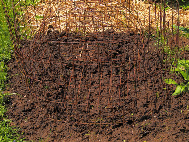 istock protective garden fencing 962248260
