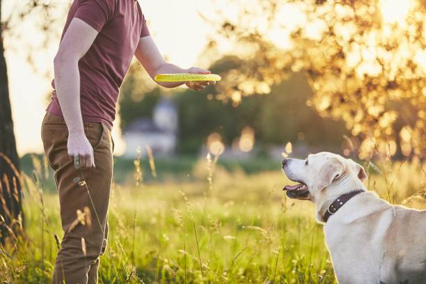 istock Man with his dog at sunset 962258776
