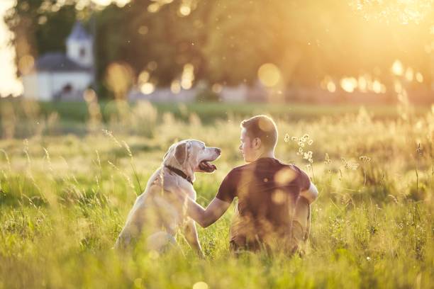 istock Man with his dog at sunset 962258788