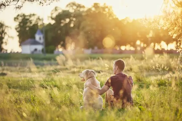 Rear view of young man with dog (labrador retriver) in nature at sunset.