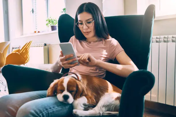 asian woman using smartphone with her dog sitting in her lap
