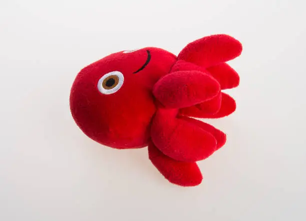 Photo of toy or octopus soft toy on the background