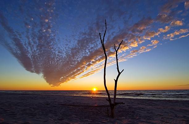 istock Incredible sky at Baltic Sea 96227040