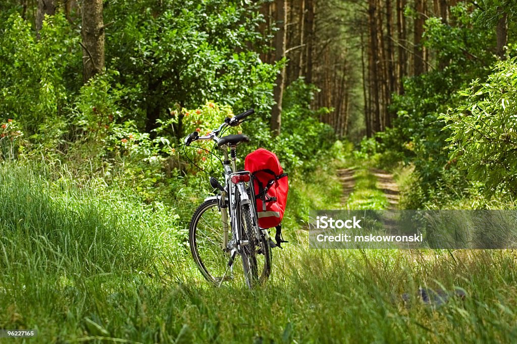 Vélo dans une forêt - Photo de Arbre libre de droits