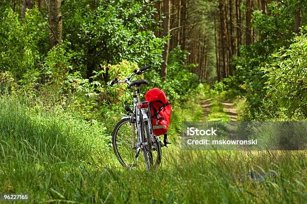 Photo libre de droit de Vélo Dans Une Forêt banque d'images et plus d'images libres de droit de Arbre - Arbre, Aventure, Couleur verte