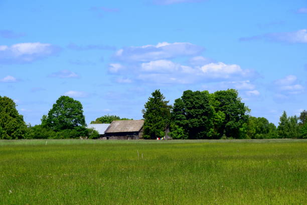 istock Wooden hut in the meadow 962272124
