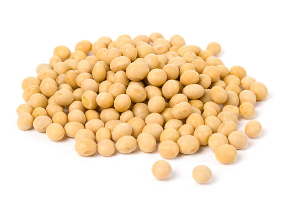 istock Pile of soybeans on white background 96227313