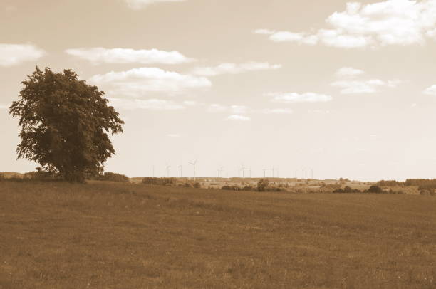 istock Forest and windmills in the distance 962279448