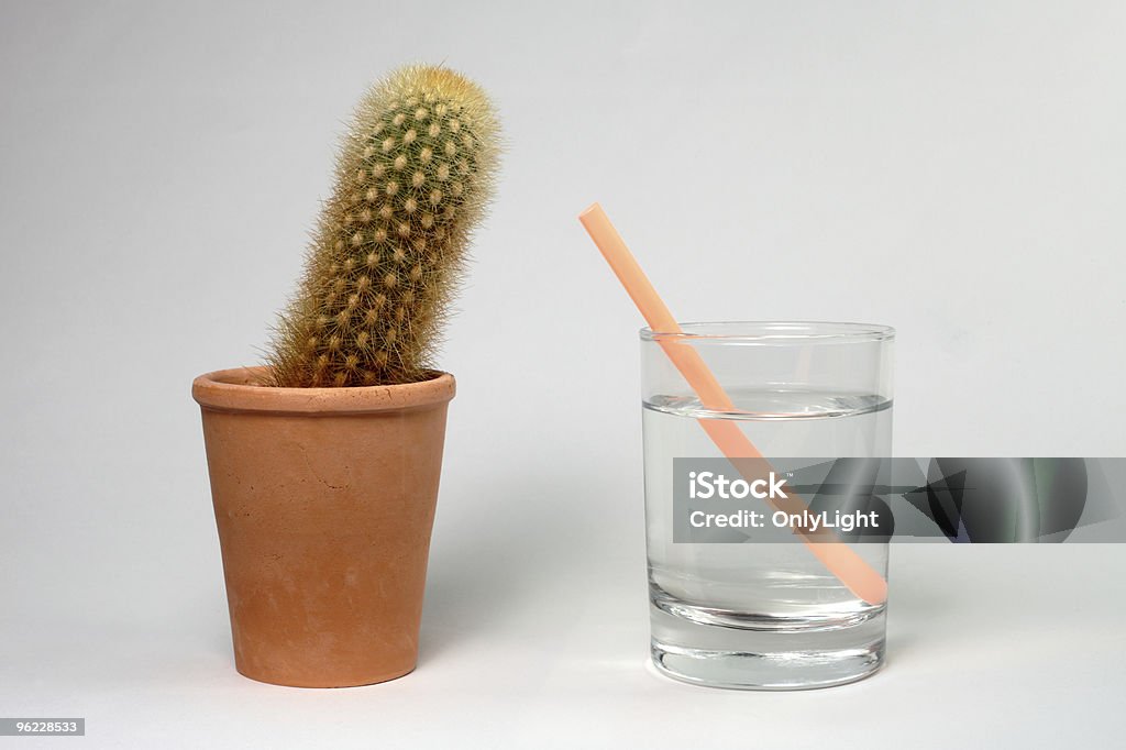 Cactus incapsulato Appoggiarsi in paglia in un bicchiere di acqua - Foto stock royalty-free di Acqua potabile