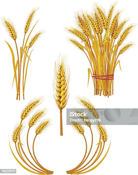 スパイクがゴールドの小麦 - イラストレーションのベクターアート素材や画像を多数ご用意 - イラストレーション, カラー画像, パン