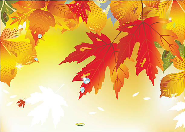 Colorful frame from leaves vector art illustration