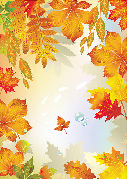 색상화 프레임을 단풍 잎 - falling tree leaf autumn stock illustrations