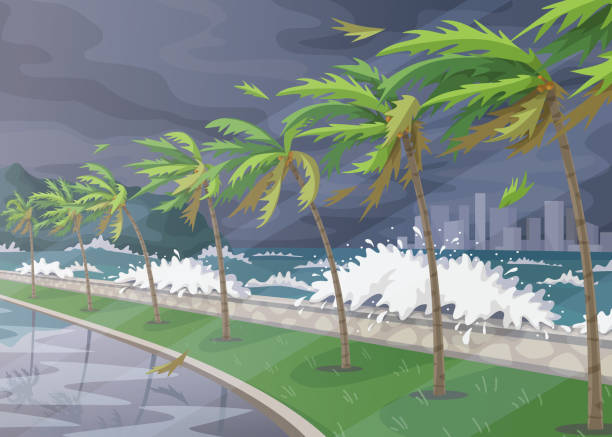 illustrations, cliparts, dessins animés et icônes de paysage tropical pendant ouragan entrant - balance simplicity nature beach