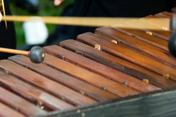 narodowy instrument gwatemali wykonane z hormigo, platymiscium dimorphandrum drewna klawiatury marimba.  szczegóły rąk grających melodie. - wibrafon zdjęcia i obrazy z banku zdjęć