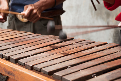 National instrument of Guatemala made with Hormigo, Platymiscium dimorphandrum  wood the marimba keyboard.  Detail of hands playing melodies.