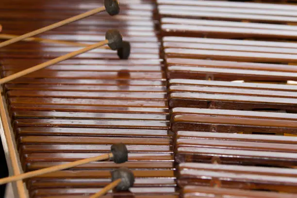Photo of National instrument of Guatemala made with Hormigo, Platymiscium dimorphandrum  wood the marimba keyboard.
