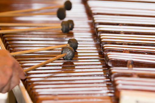 National instrument of Guatemala made with Hormigo, Platymiscium dimorphandrum  wood the marimba keyboard.  Detail of hands playing melodies.
