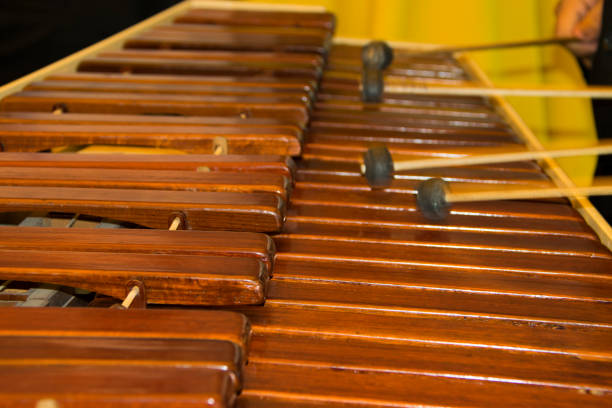 national instrument of guatemala made with hormigo, platymiscium dimorphandrum  wood the marimba keyboard. - rubber mallet imagens e fotografias de stock