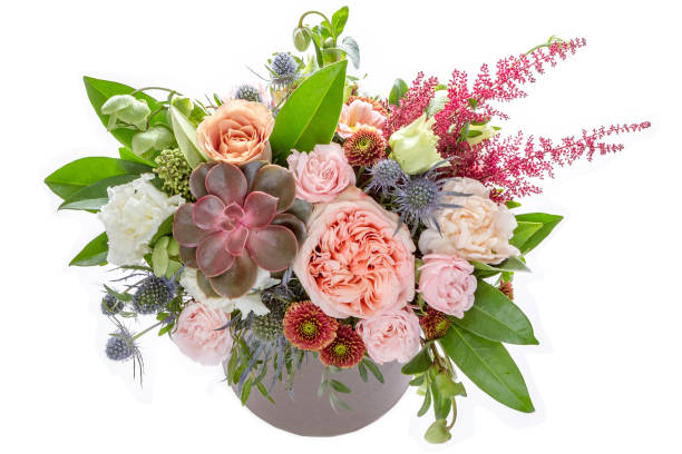 fiori su sfondo bianco - composizione di fiori foto e immagini stock