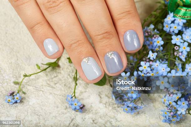 Hand Mit Gepflegten Nägeln Gefärbt Mit Grauen Nagellack Und Blaue Blumen Stockfoto und mehr Bilder von Maniküre