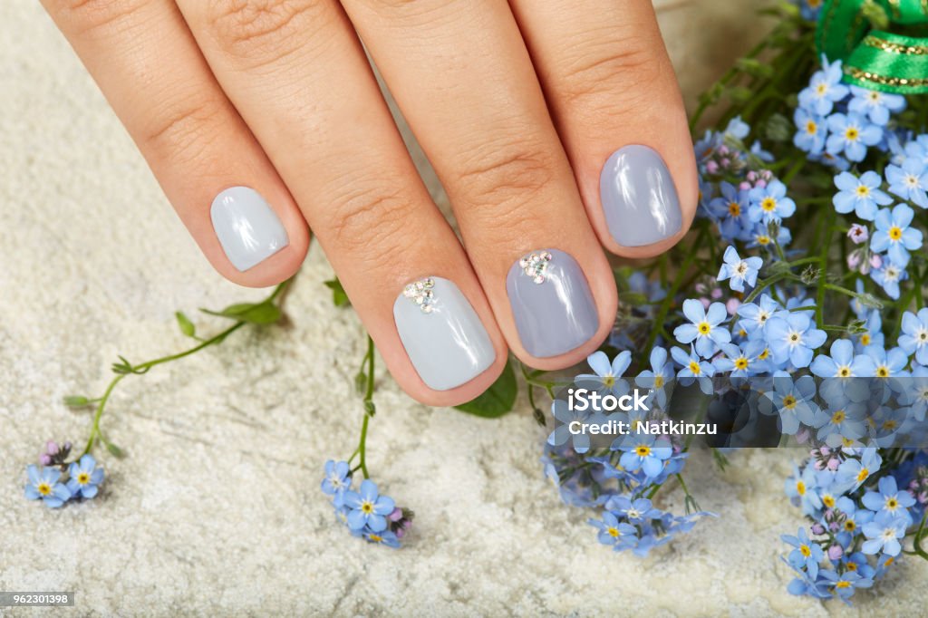 Hand with manicured nails colored with gray nail polish and blue flowers Hand with short manicured nails colored with gray nail polish and blue forget-me-not flowers Manicure Stock Photo