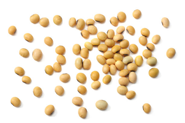 istock Soybeans isolated on white background. top view 962305658