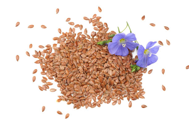 istock flax seeds with flower isolated on white background. flaxseed or linseed. Cereals. top view 962305710