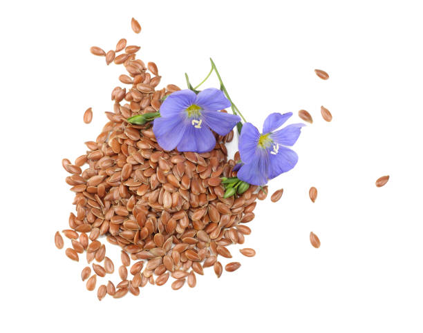 istock flax seeds with flower isolated on white background. flaxseed or linseed. Cereals. top view 962305782