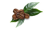 coffe beans with leaves on white