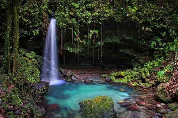 Famous UNESCO nature reserve site in tropical forest of Dominica.