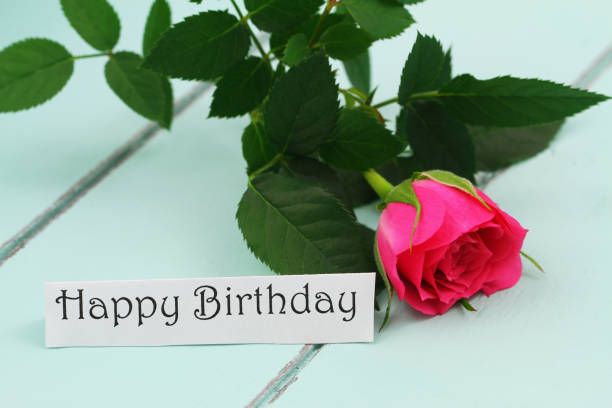 istock Happy birthday card with one pink wild rose 962319368