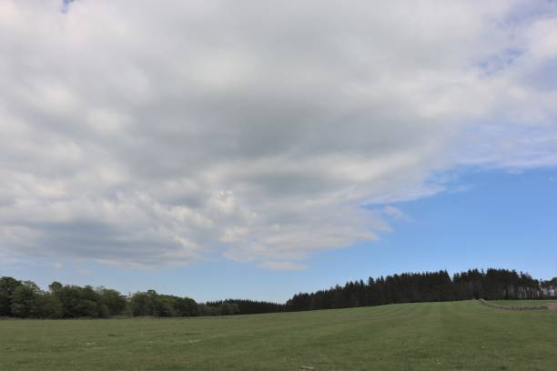 istock Fluffy white clouds in blue sky over fields in countryside 962322328