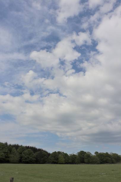 istock Fluffy white clouds in blue sky over fields in countryside 962322346