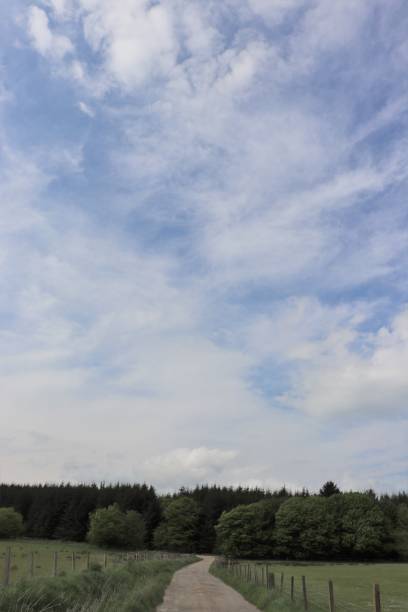 istock Fluffy white clouds in blue sky with trees road in foreground 962322484