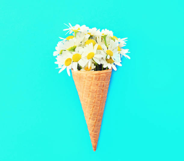 istock Ice cream cone with chamomiles flowers 962326540