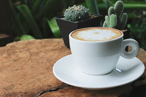 A cup of latte art on wood table in morning, Coffee with a pattern of milk in white cup. A cup of coffee with small cute cactus.