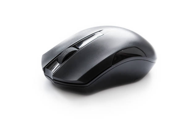 istock mouse of black color on a white 962331190
