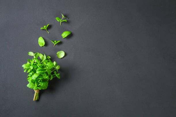 istock Fresh homemade green peppermint on a gray dark concrete table. top view 962335190